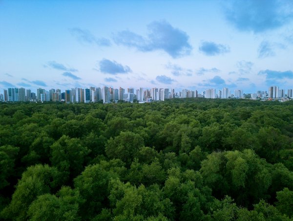 Impact de la Vaccination sur le Salaire : Absence Autorisée et Conséquences Financières