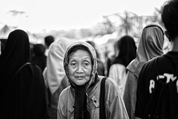 L'impact dévastateur de la déforestation sur la biodiversité planétaire : un cri d'alarme